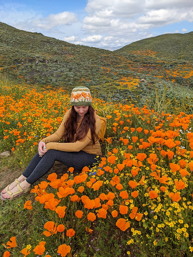 Comfort and Joy National Park Hat Kits